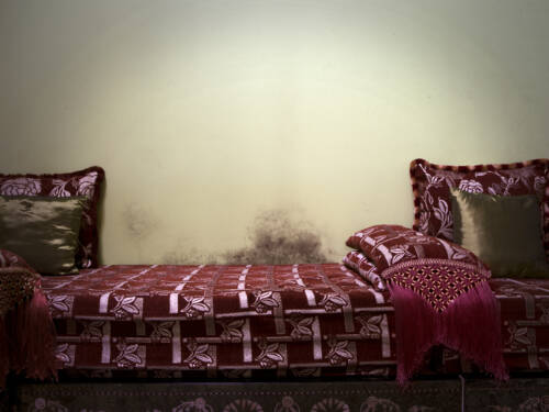 précarité énergétique humidité précarité énergétique humidité