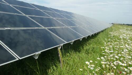 solaire_fleurs solaire_fleurs