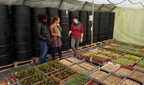 Serres solaires GERES Serres solaires GERES