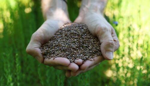 CLER Infos 119 agriculture alimentation CLER Infos 119 agriculture alimentation