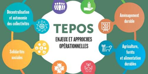 bandeau fleur zoom bandeau fleur zoom