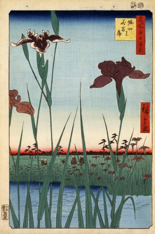 Hiroshige,_Horikiri_iris_garden,_1857 Hiroshige,_Horikiri_iris_garden,_1857