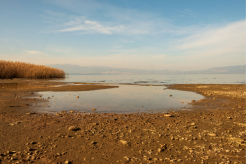 visuels site(13) visuels site(13)