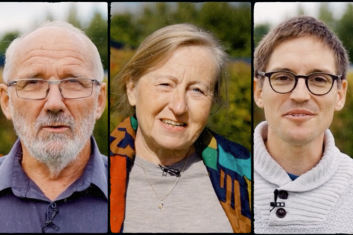 la transition on la fait, on vous raconte la transition on la fait, on vous raconte