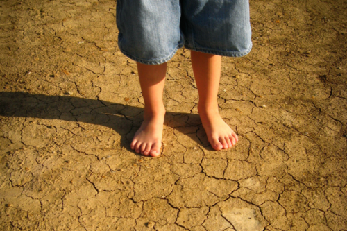 justice-sociale justice-sociale