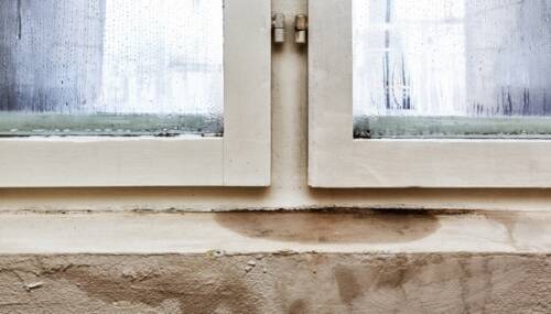 Moisture and mold -Problems in a house Moisture and mold -Problems in a house