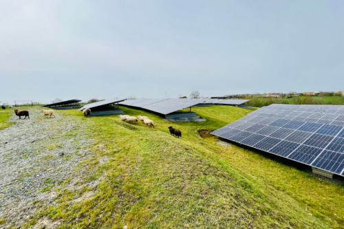 biodiversite biodiversite