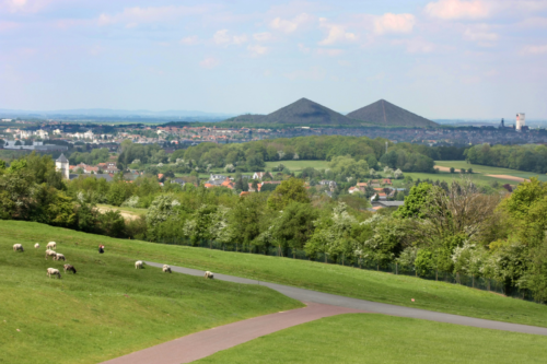 loos-en-ghoelle loos-en-ghoelle