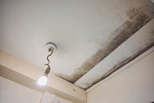 Mug_passoires-energetiquesjpg Photo illustrant de la moisissure au plafond dans un logement considéré comme passoire énergétique.