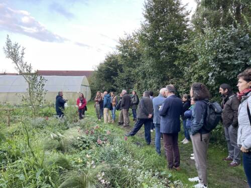 amrf-rencontres-tepos amrf-rencontres-tepos