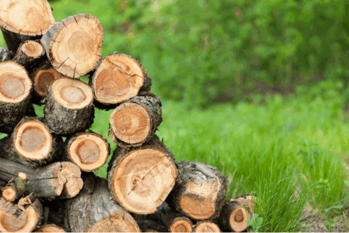 Visuel Charte chaleur bois Visuel Charte chaleur bois