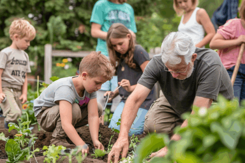 Concours photo sobriété Concours photo sobriété