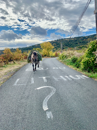 Itinérance en autonomie et à cheval de Mirha Guthmann