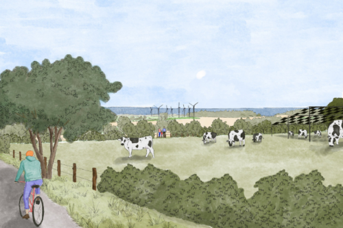 Paysages de l’après pétrole – Vosges centrales Dessin de Valentine Fouchet d'un projet éolien à Hausault dans les Vosges centrales qui représente cycliste qui passe à côté d'un champ de vaches et d'éoliennes
